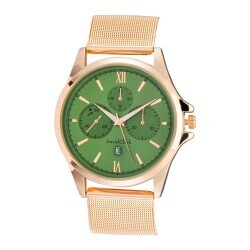 David Clark DC10116M-05 Erkek Kol Saati Gold - 1