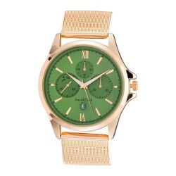 David Clark DC10116M-05 Erkek Kol Saati Gold - 1