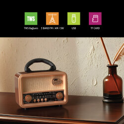 Polosmart FS103 Nostalijik Radyo - 4