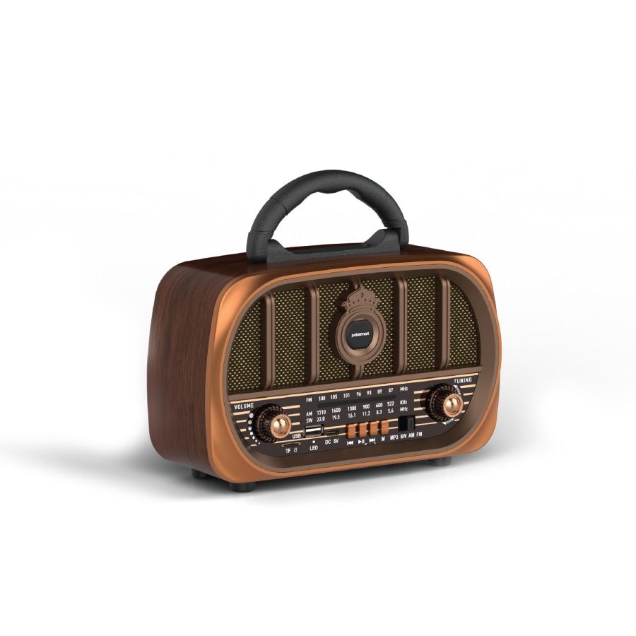 Polosmart FS108 Nostaljik Radyo - 2