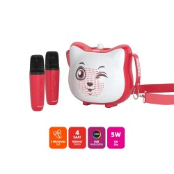 Polosmart FS119 Şarjlı RGB Led Aydınlatmalı 2 Mikrofonlu Karaoke Set Kırmızı - 2