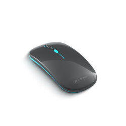 Polosmart PSWM20 Hybrid BT & Wireless Mouse - Polosmart